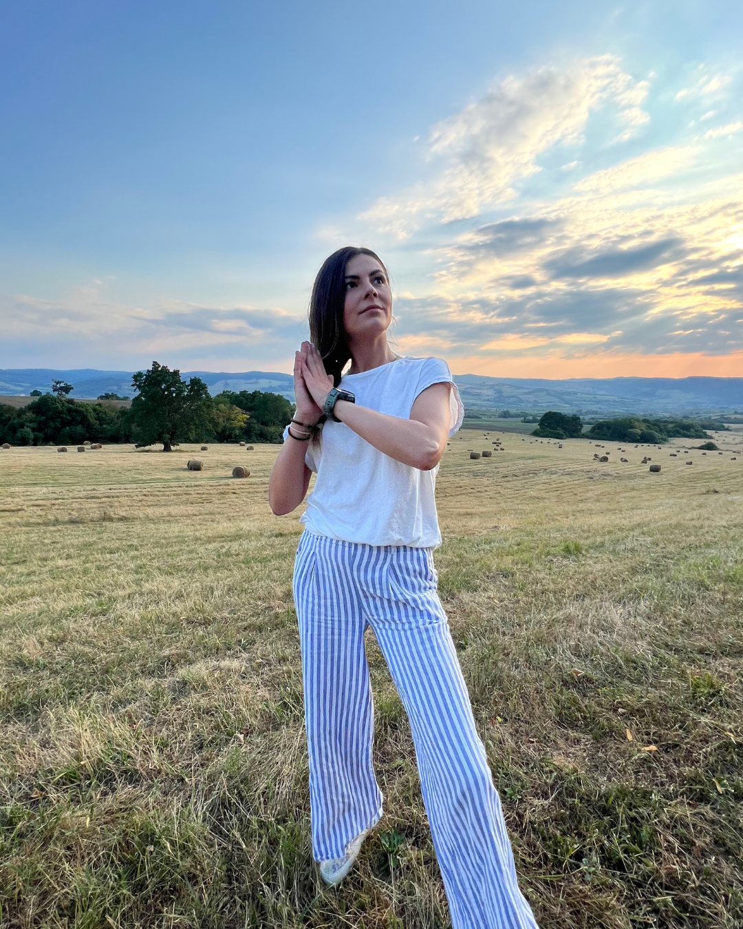 Crina Răducan — RESET
